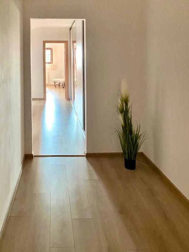 Casa Dima Hotel Constanta Ngoại thất bức ảnh